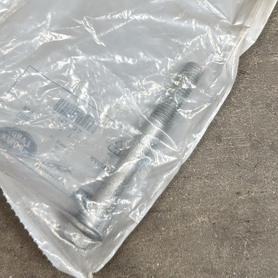 T4K6292 - Jaguar Bolt